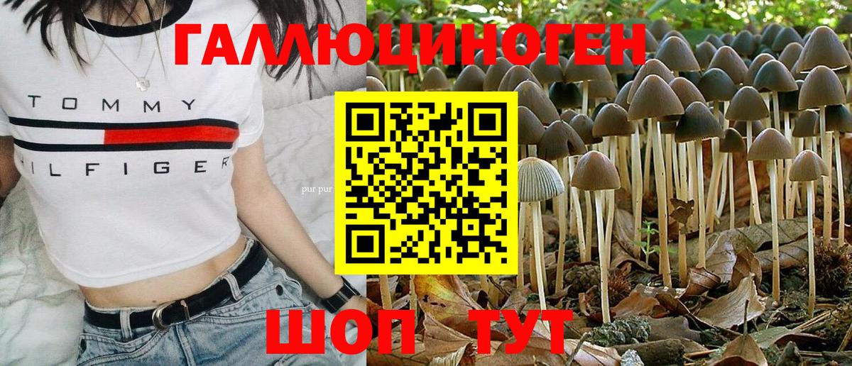 Псилоцибиновые грибы MAGIC MUSHROOMS  сколько стоит  Реж  Вход с VPN 